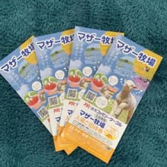 マザー牧場　招待券　⭐︎本日発送⭐︎のサムネイル