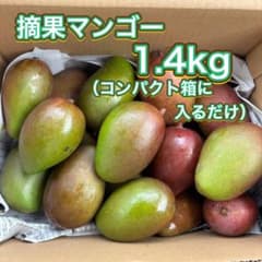 沖縄県産 摘果マンゴー箱なし1.4kg｜100〜300g 青マンゴーのサムネイル