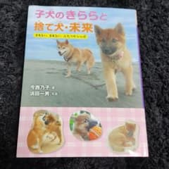 子犬のきららと捨て犬・未来 まあるい、まあるい、ふたつのシッポのサムネイル