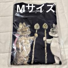 ボリス雑貨店＊ヒグチユウコ リトルガーディアンズ GRICO&BO Mサイズ