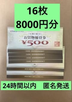 ヤマダ電機　YAMADA HLDGS ヤマダデンキ　お買物優待券 株主優待券のサムネイル