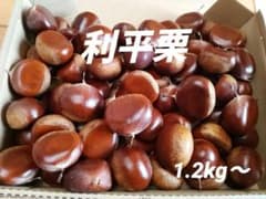 生栗　利平　小さめ　1.2kg〜のサムネイル