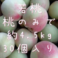 56.摘果桃 若桃 桃だけで約4.5kg - メルカリ