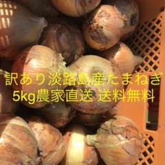 訳あり送料無料  淡路島産たまねぎ5kg 農家直送のサムネイル