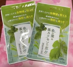 和漢の森 桑の葉 茶カテキンの恵み２袋のサムネイル
