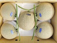 と*ろ様 高知産　約８，６kg　訳あり温室マスクメロン　６玉　北海道沖縄発送不可 高知産 約10kg 贈答用 5玉 大玉マスクメロン 秀品 北海道沖縄発送