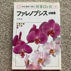 ファレノプシス胡蝶蘭のサムネイル