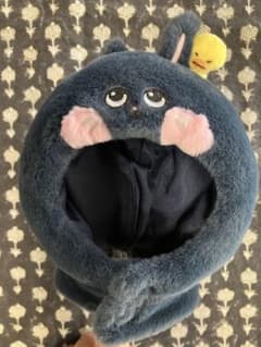 【再値下げ❣️美品】RIIZE ペンライトカバー ウォンビン トニャンドクのサムネイル