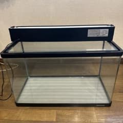 NISSO 曲面水槽　60cm NISSO 曲面水槽 60cm ライト付き - メルカリ