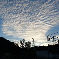 もけもけさん専用のサムネイル