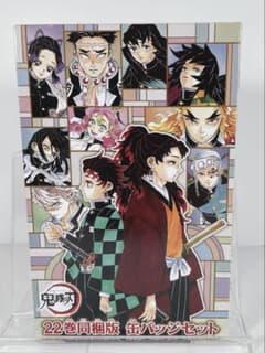 鬼滅の刃　KIMETSU NO YAIBA 缶バッジ　20点セット 鬼滅の刃(Demon slayer) 缶バッジ類20点セット