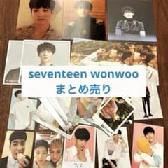 SEVENTEEN セブチ ウォヌ トレカ ポストカード まとめ売り セット