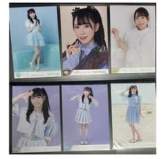 本田珠由記 26枚 まとめ売り バラ可のサムネイル