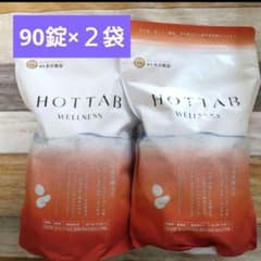 HOTTAB WELLNESS 90錠×2袋 ホットタブ ウェルネス - メルカリ