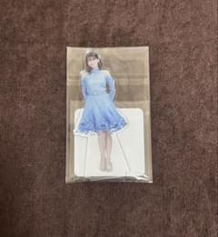 乃木坂46 BIGアクリルスタンド 奥田いろは 奥田いろは 乃木坂46 2024 Lucky bag個別ランダムBIGアクスタ