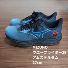 MIZUNO ウエーブライダー29 アムステルダム 27cm 限定モデル - メルカリ