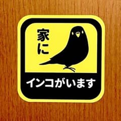 「家に、インコがいます。」カーステッカー 車用、玄関などに。撥水加工のサムネイル