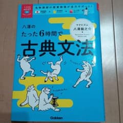 八澤のたった6時間で古典文法のサムネイル