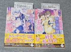 ガブリエラブックス2冊セット - メルカリ