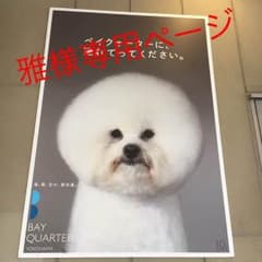 専用ページのサムネイル