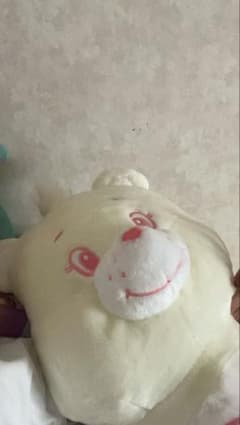 ケアベア ぬいぐるみのサムネイル