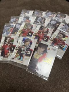 バレーボール 男子日本代表 ツインウエハース　カードノーマル/レア　17枚のサムネイル