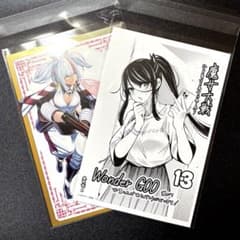 魔女大戦 32人の異才の魔女は殺し合う13巻 WonderGOO特典ポストカード
