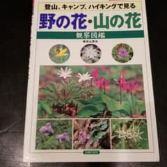 野の花・山の花観察図鑑 : 登山、キャンプ、ハイキングで見るのサムネイル
