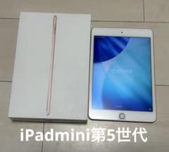 iPad mini 第5世代 64G WiFi ゴールド 動作確認済 初期化 - メルカリ