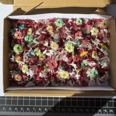ドライフラワー　矢車草マトリカリアMIX02のサムネイル