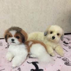 羊毛フェルト♡☆薄星☆様専用♡のサムネイル