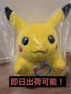 포켓몬스터 포켓몬 30주년 기념 어서오세요! 피카츄 1/1