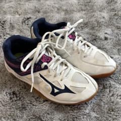 【22.5㎝】MIZUNO バレーボールシューズ ジュニアのサムネイル
