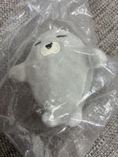 あざらし かぞくのぬいぐるみ パパアザラシ　ガチャガチャのサムネイル