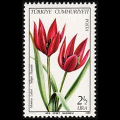 m16704790974_1.jpg?1767400195