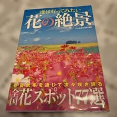 一度は行ってみたい花の絶景のサムネイル