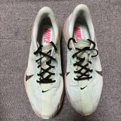 NIKE 25FA ペガサス プラス FQ7262-406 27センチ NIKE 25FA ペガサス プラス FQ7262-406 27センチ - メルカリ