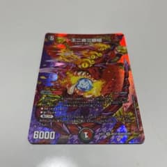 パラドヴィナシューラのサムネイル