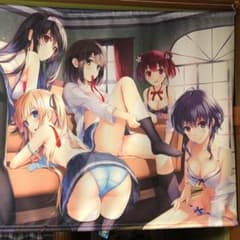 【値引き】アニプレックスBluRay全巻セット特典 冴えカノB0タペストリーのサムネイル