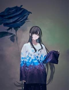 hazama × Ado 一凛の祈跡に添えるドレスシャツ black L hazama ハザマ Ado 一 凛の祈跡に溺れる カットソー L - メルカリ