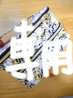 専用  スヌーピー 2段ポーチのサムネイル