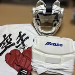 MIZUNO 空手 防具セット メンホー プロテクター グローブM 収納袋付のサムネイル
