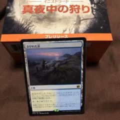 MTG日本語　さびれた浜のサムネイル