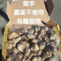 菊芋　農薬不使用　コンパクト便のサムネイル