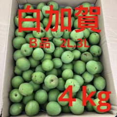 青梅 白加賀B品 2L.3L 4kg - メルカリ