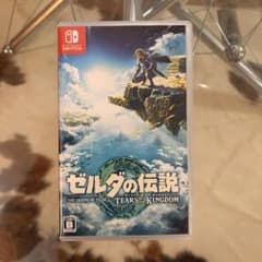 ゼルダの伝説 TEARS OF THE KINGDOM Switch スイッチのサムネイル
