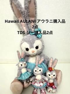 AULANI アウラニ ディズニー TDSステラルー 4点セット まとめ売り