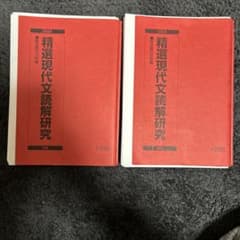駿台 精選現代文読解研究2025入試対応 ※高見健司 板書 解答解説つき