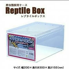 レプタイルボックスのサムネイル