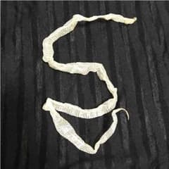 白蛇 抜け殻 小振りのサムネイル